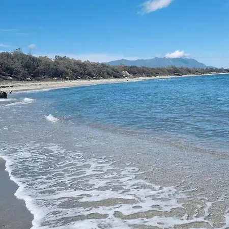 Convivial A Avec Piscine